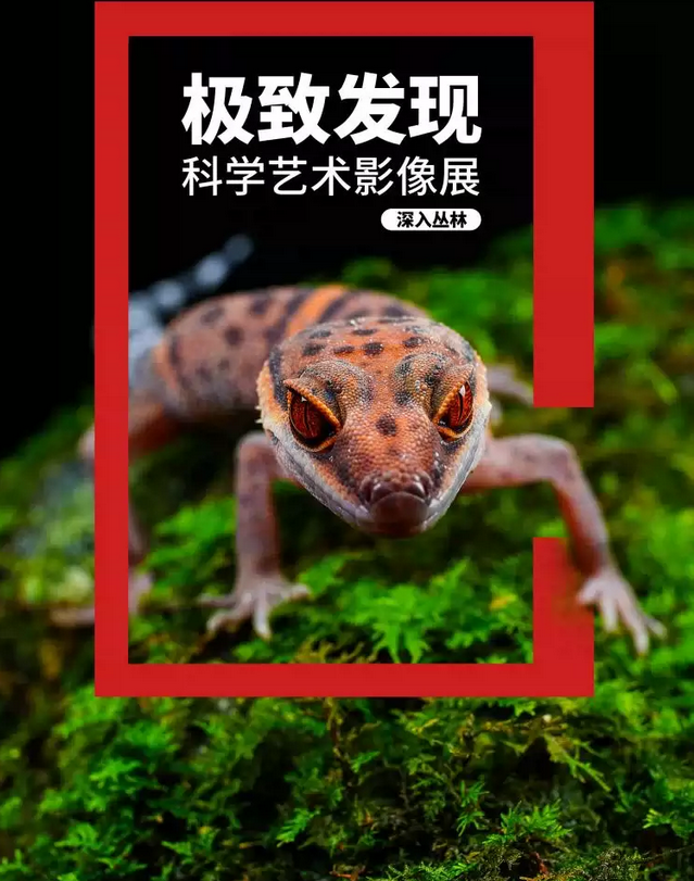 国家地理科学艺术影像展门票