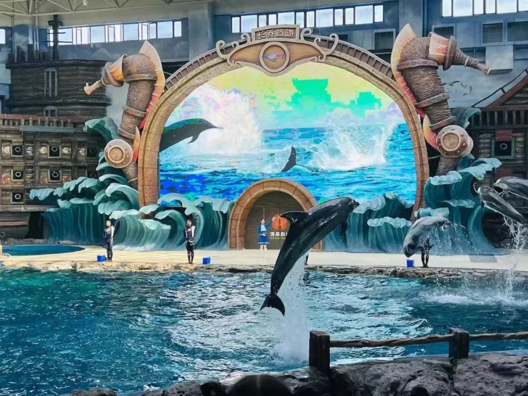 舟山長(zhǎng)喬海洋公園