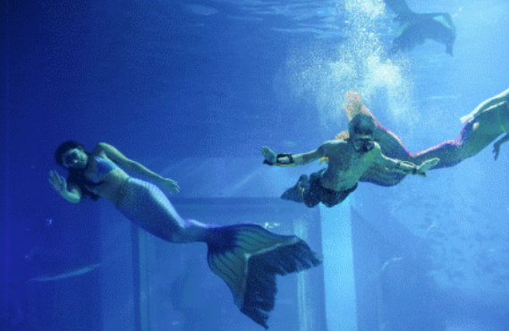 /uploads/image/2025/08/02/611c0d8f53bd9e5cac95b12a4b150182.png