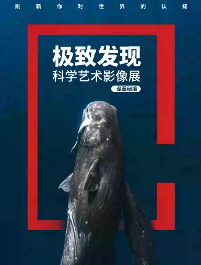 圖片.png