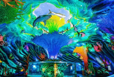 /uploads/image/2025/08/04/dcaef1b155ccc5f1a05e5d680475cca5.png