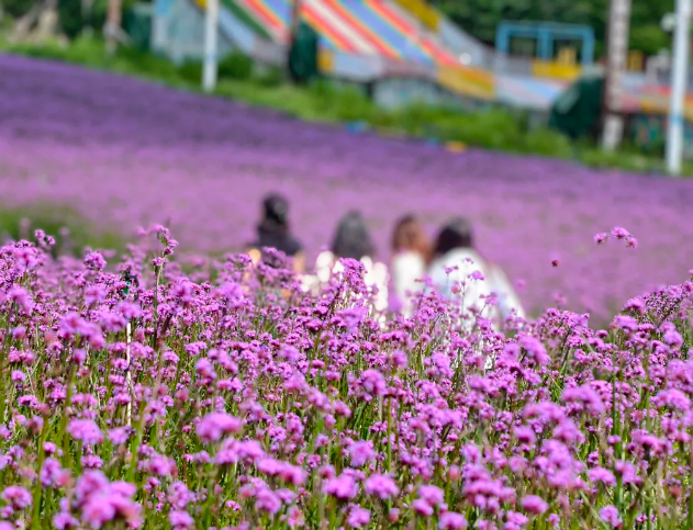 梅花山旅游景區(qū)