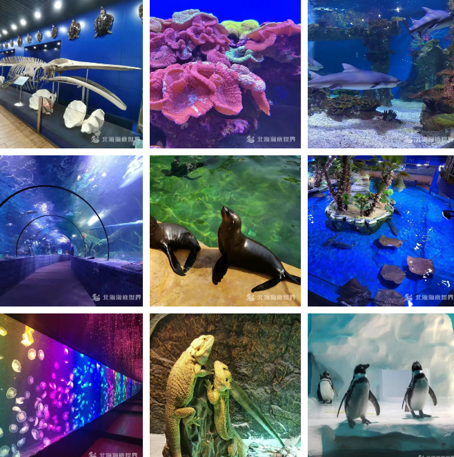 北海海底世界