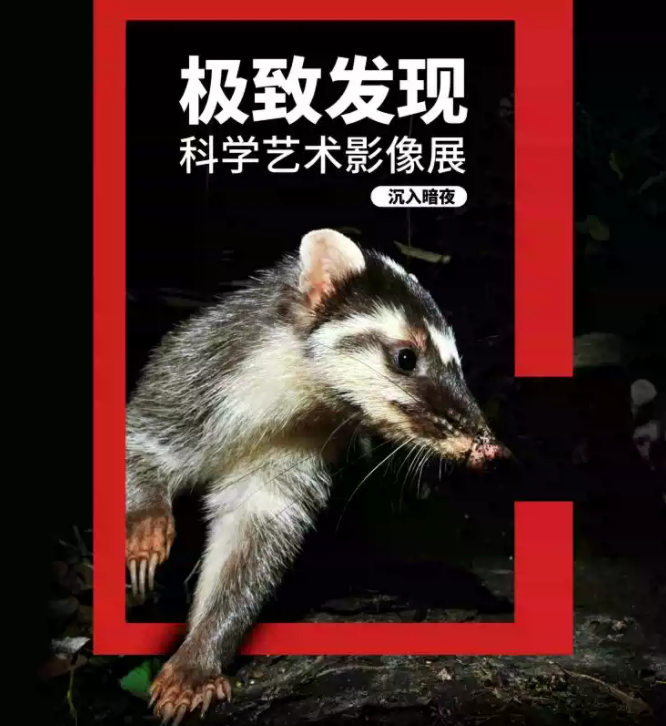 圖片.png