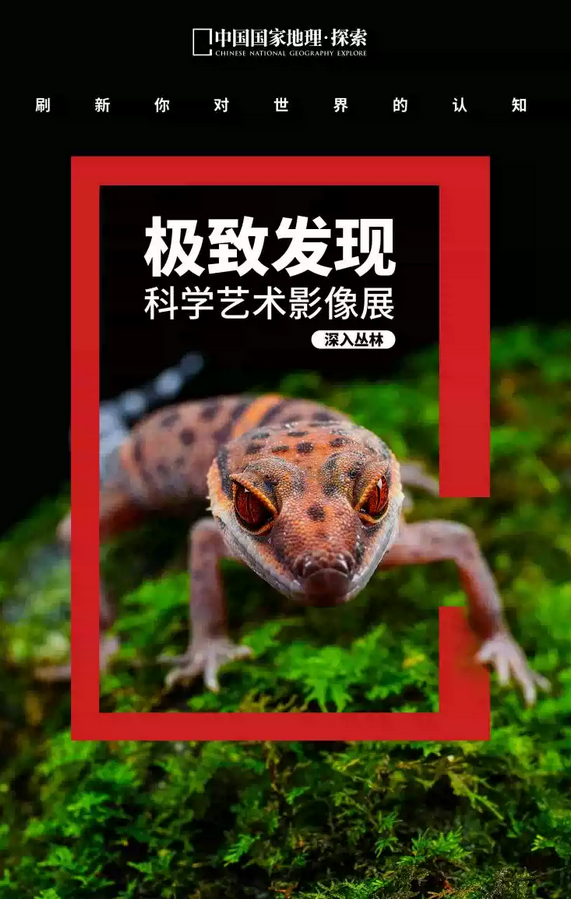 中國國家地理科學(xué)藝術(shù)影像展鄭州站