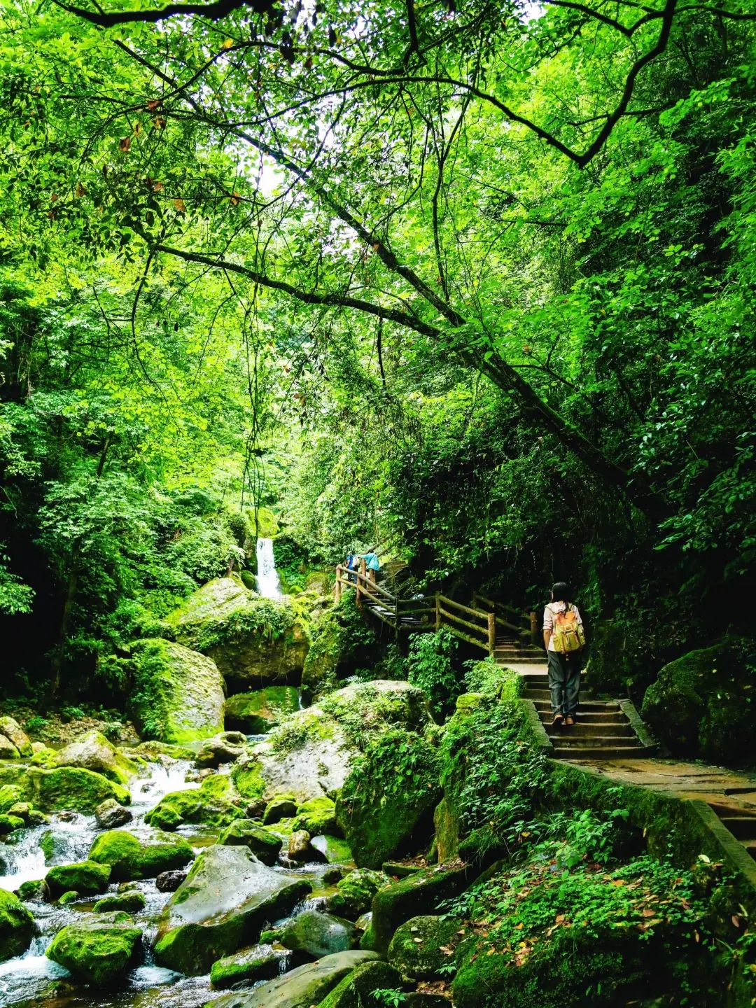 成都青城后山