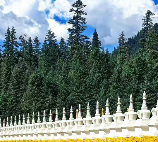 巴塘措普溝景區(qū)
