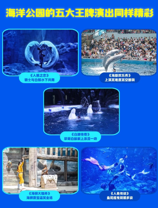 舟山長喬海洋公園