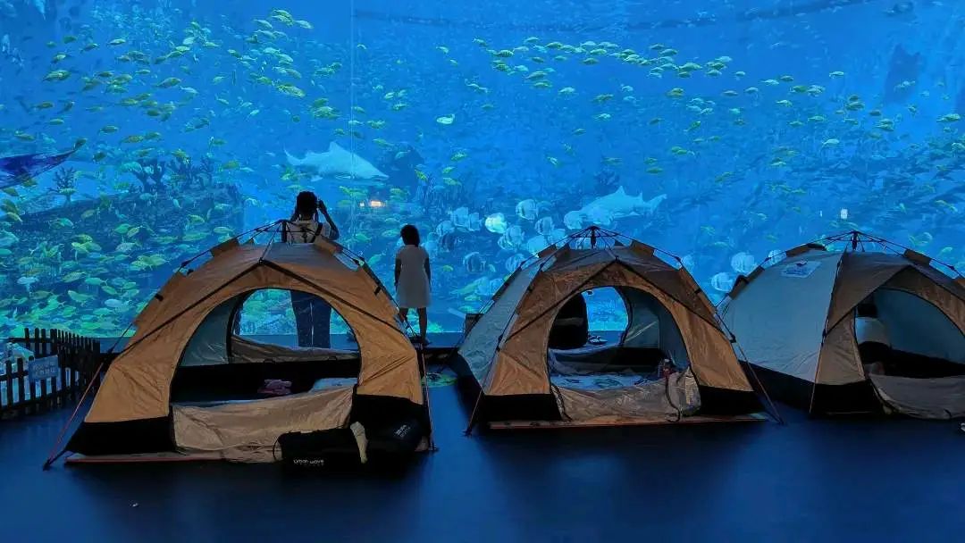 鄭州海洋館