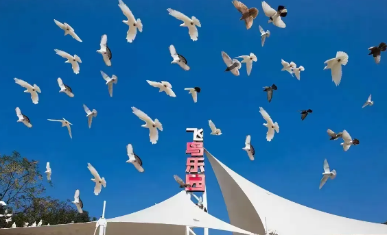 長沙年票