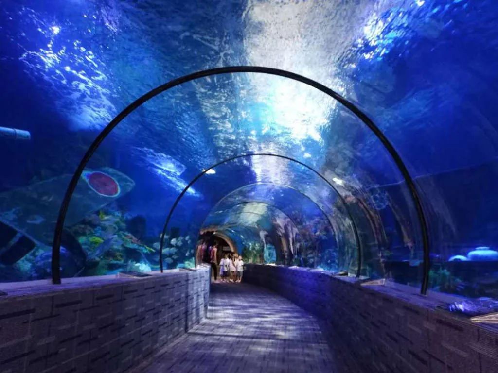 北海海底世界