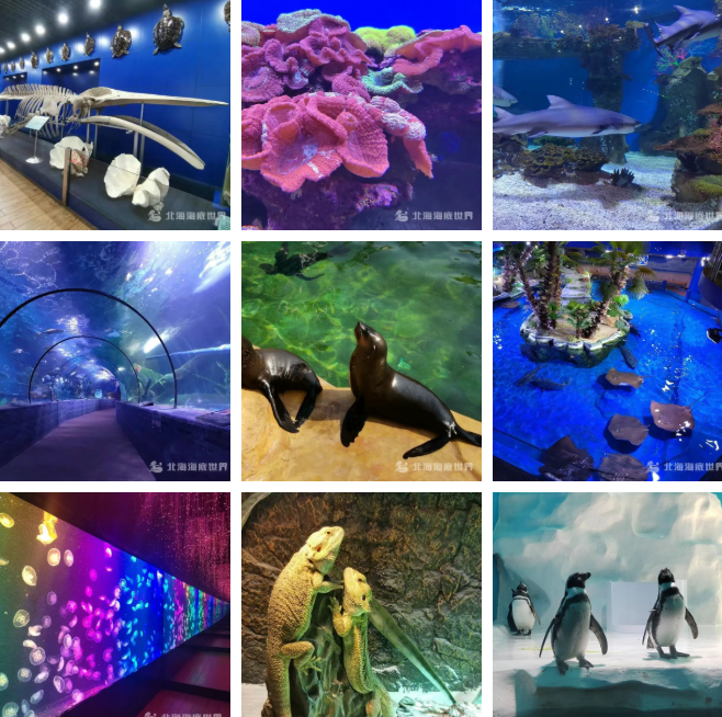 北海海底世界