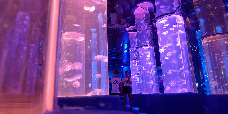 深圳歡樂海岸海洋奇夢館