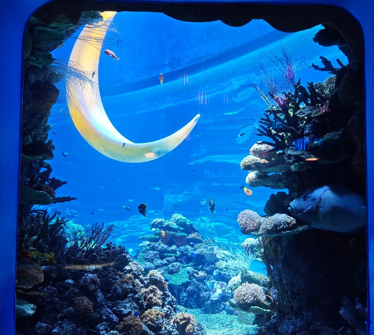 深圳歡樂海岸海洋奇夢館