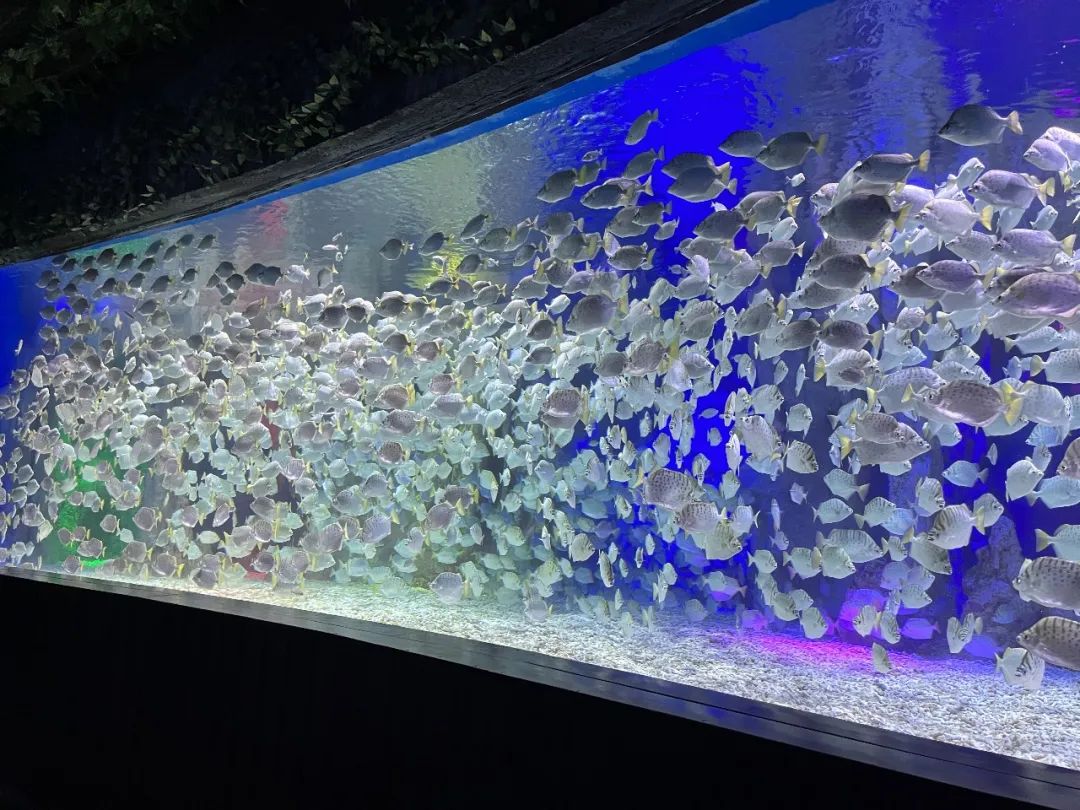 北海海底世界