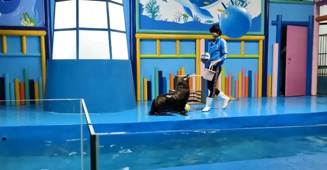 重慶海洋世界