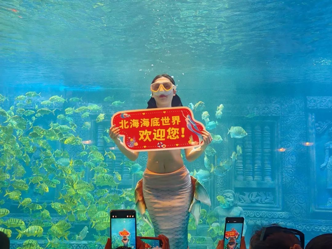 北海海底世界