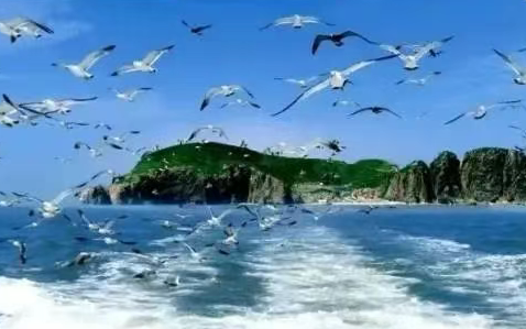 /uploads/image/2025/08/14/bbc4b1a43d980d1011588736633fc2cb.png