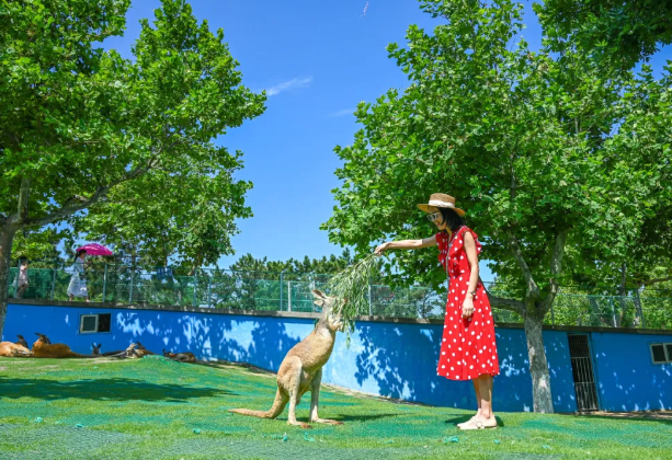 西霞口神雕山野生動物園