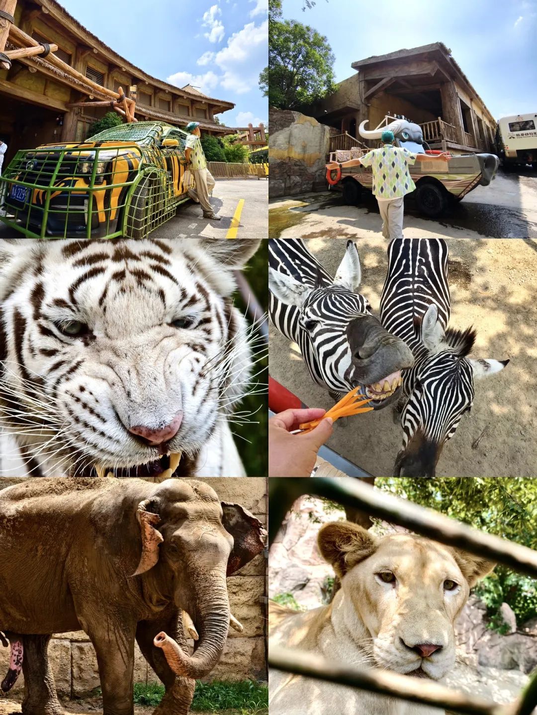 鄭州銀基動物王國