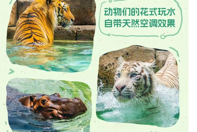 ?2025鄭州銀基動物王國暑期特惠票價(附免費(fèi)政策+游玩亮點(diǎn))