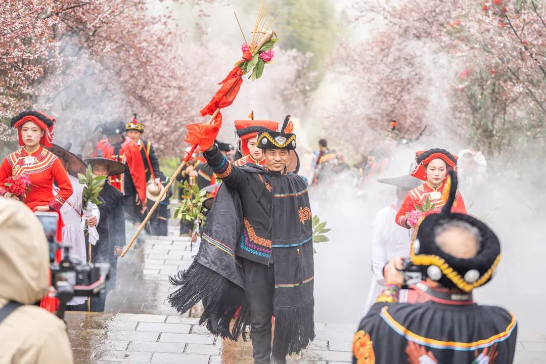 百里杜鵑風景區(qū)