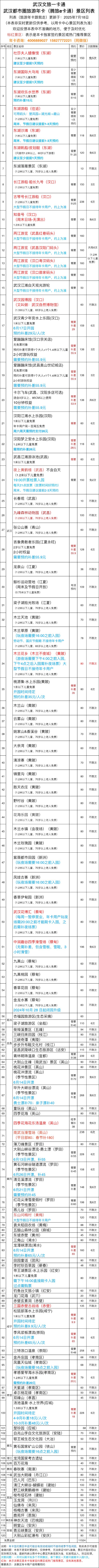 武漢騰旅e卡通