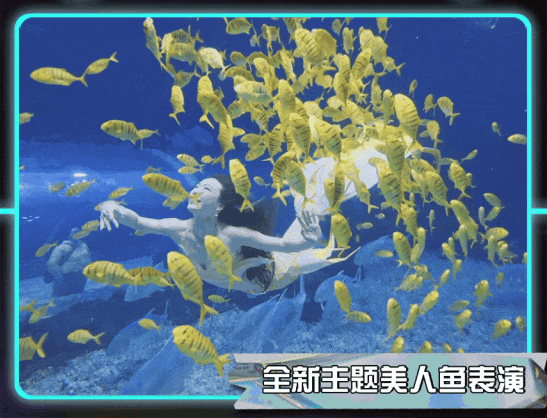 華夏文旅海洋公園