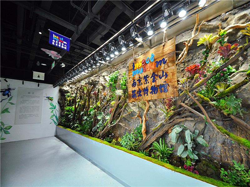紫金山昆蟲博物館