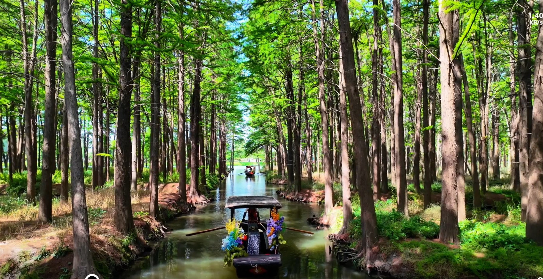 李中水上森林公園
