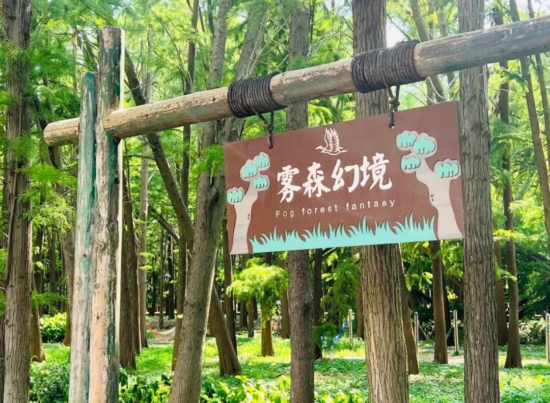 李中水上森林公園