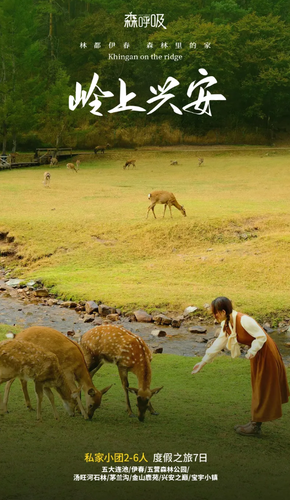 岭上兴安.png