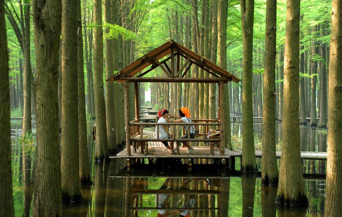 李中水上森林公園