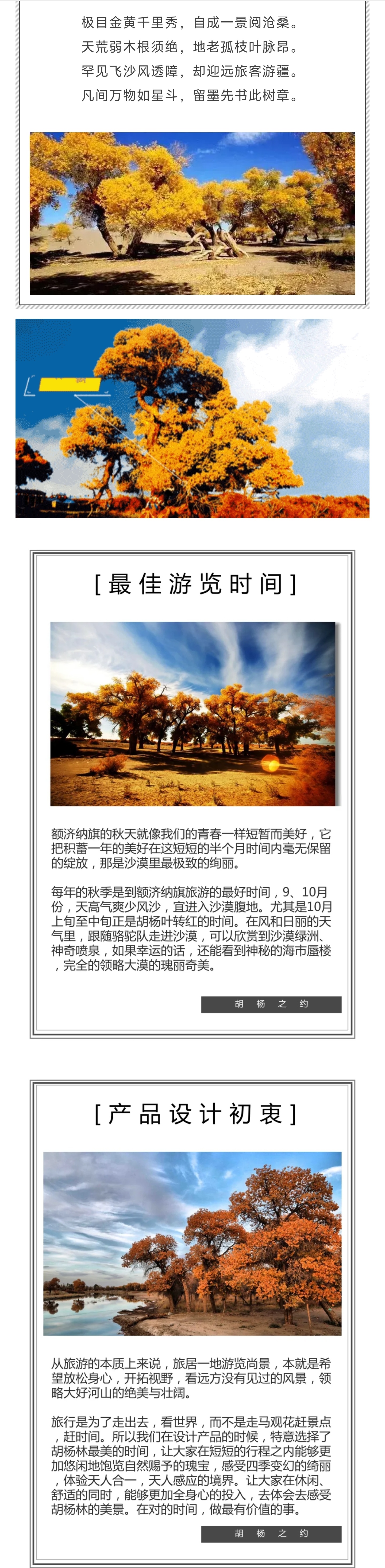 1_副本1.jpg