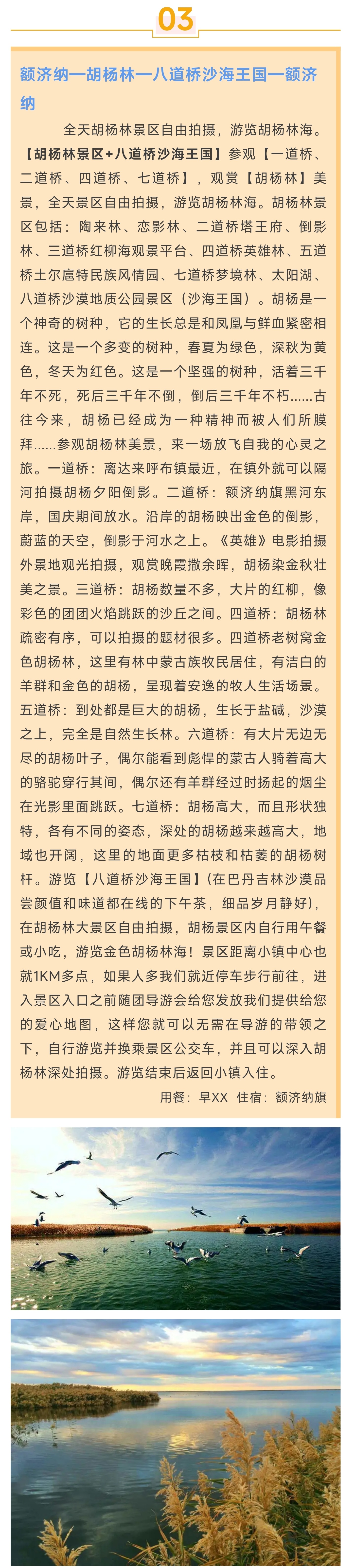 1_副本5.jpg