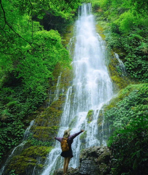 都江堰景區(qū)門票