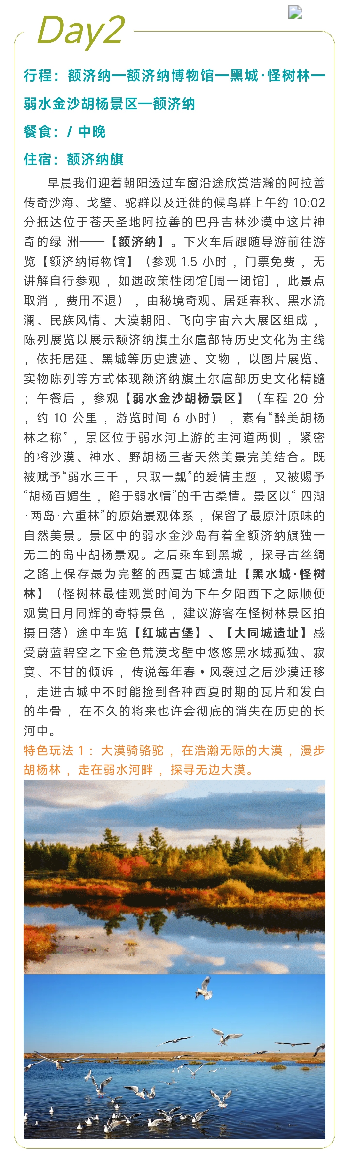 1_副本4.jpg
