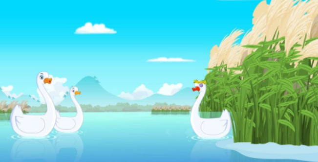 圖片.png
