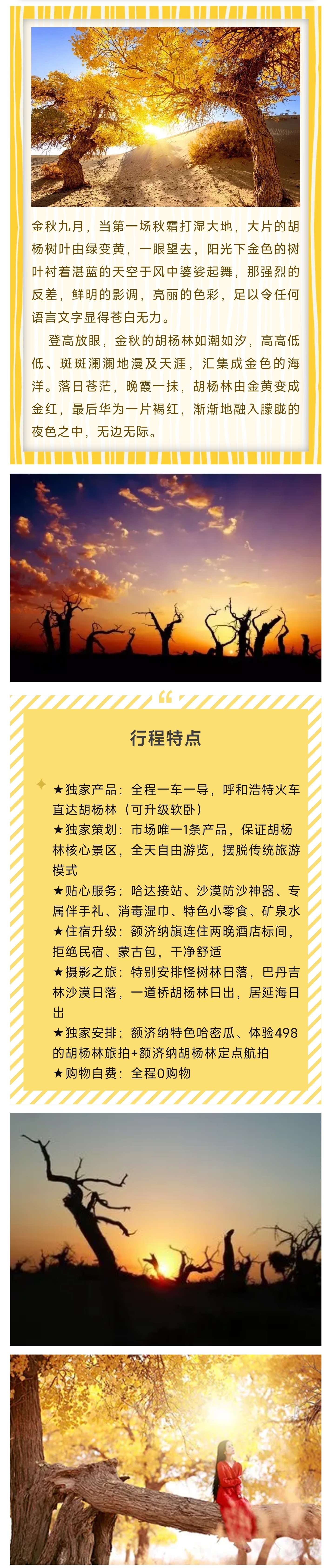 1_副本2.jpg