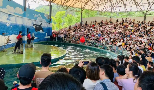 馬鞍山大青山野生動(dòng)物園購票官網(wǎng)