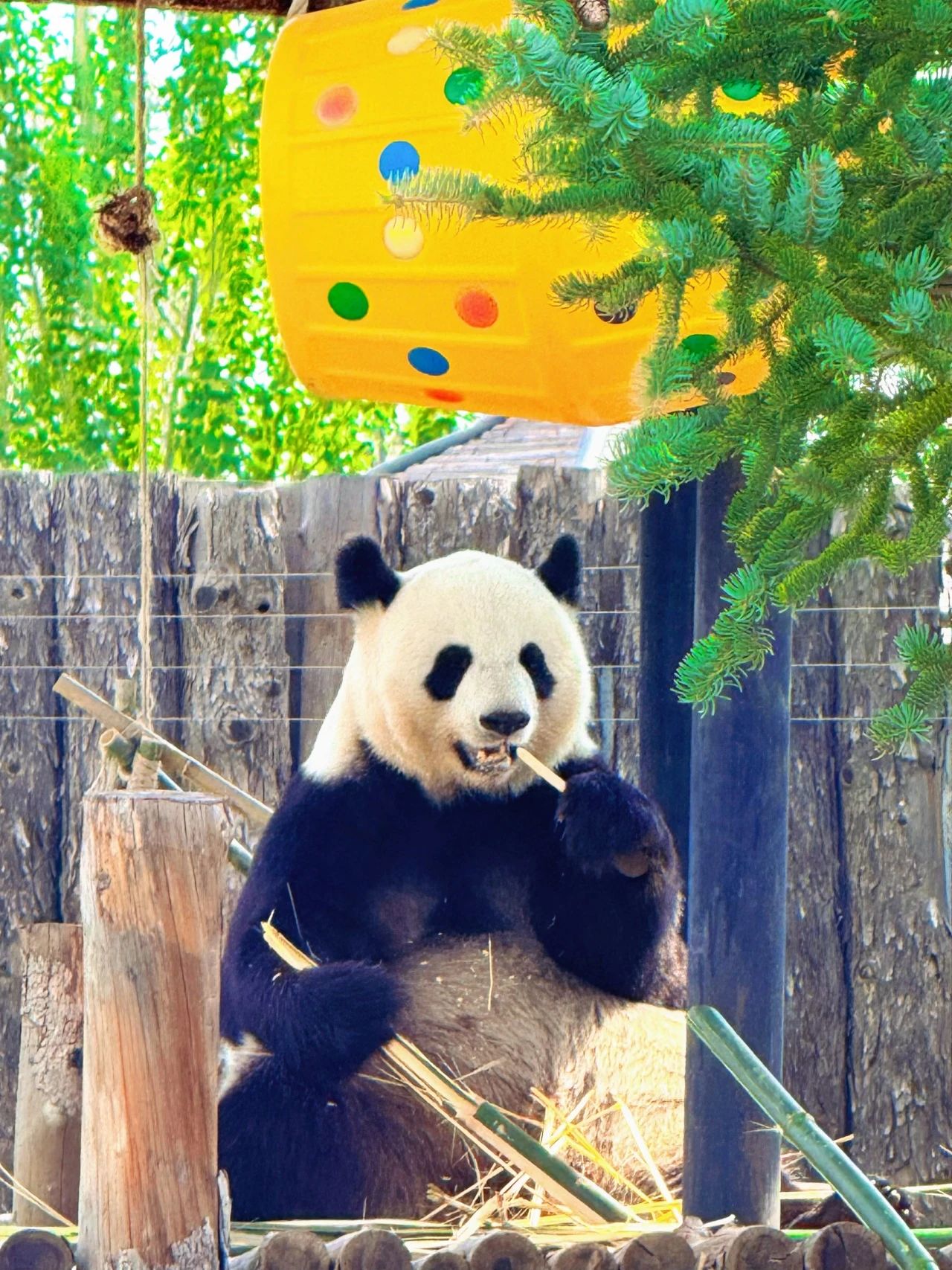 馬鞍山大青山野生動物園購票官網(wǎng)