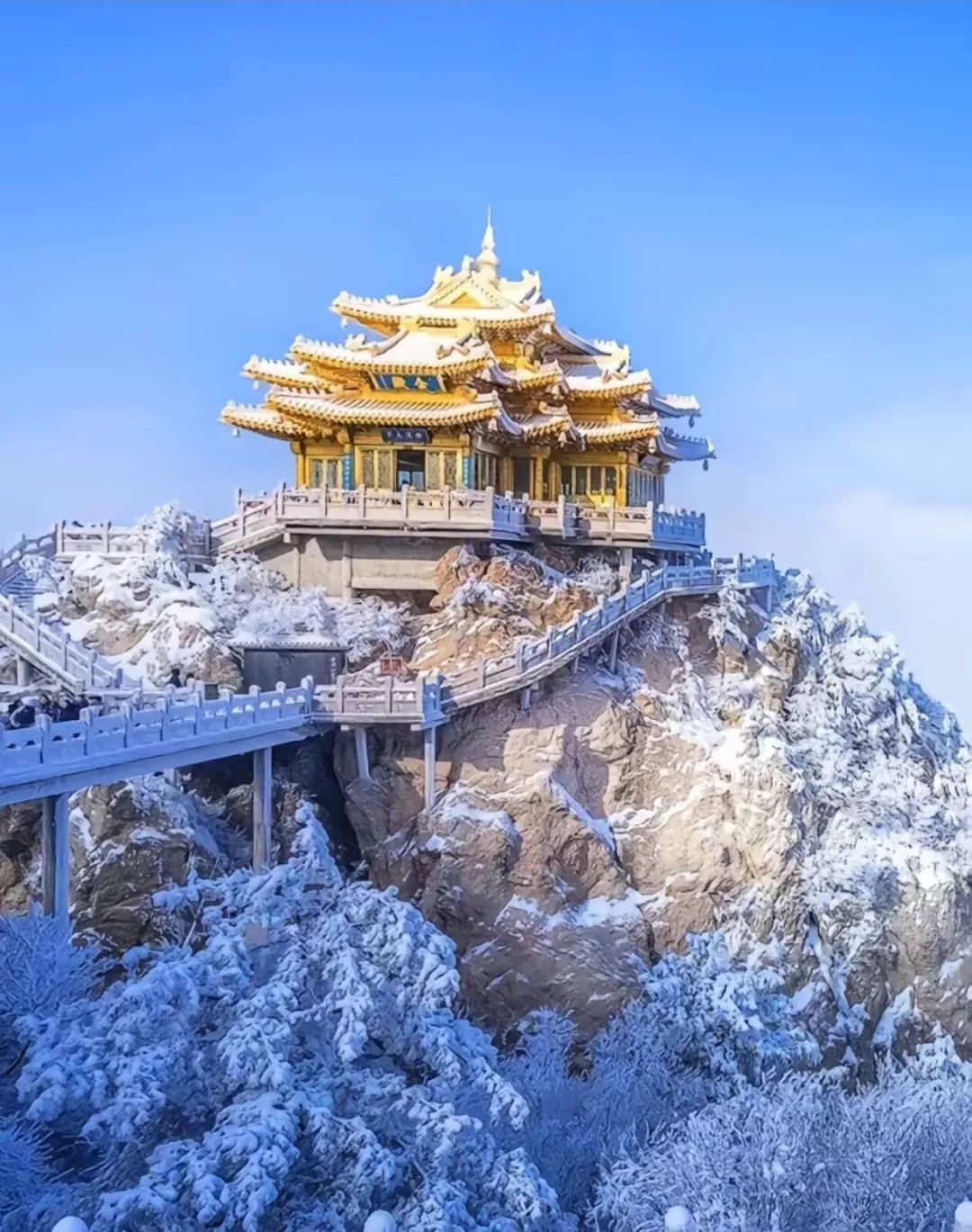 洛陽老君山