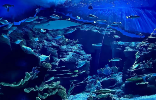 2025溫州極地海洋世界游玩票價(jià)+購票網(wǎng)址+場館介紹+營業(yè)時(shí)間