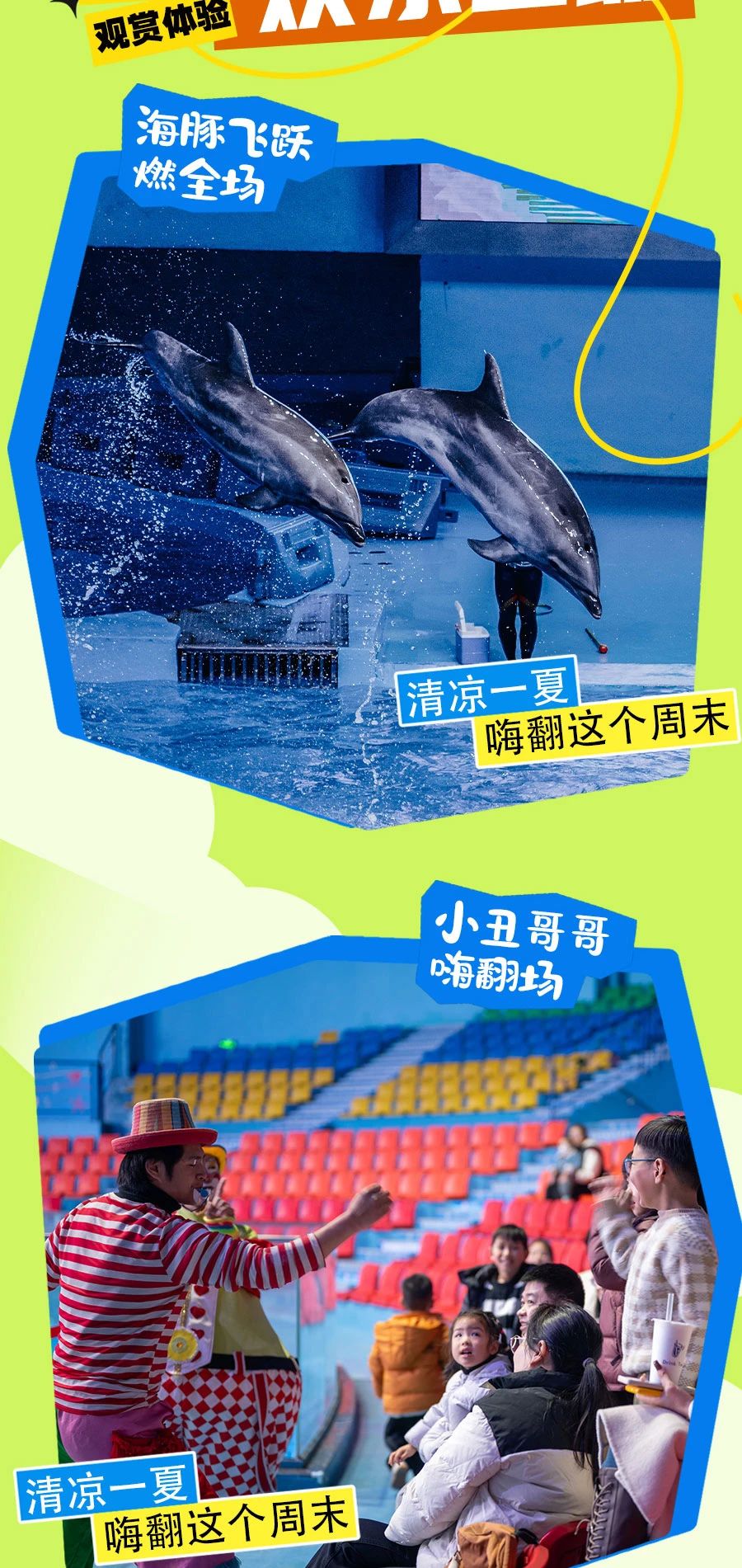 2025溫州極地海洋世界開(kāi)放時(shí)間及門(mén)票信息(附優(yōu)惠政策+表演時(shí)間表+亮點(diǎn)介紹)