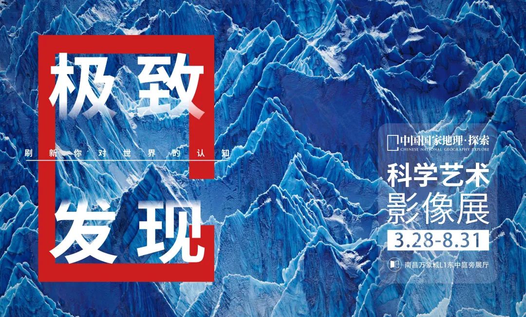 南昌極致發(fā)現(xiàn)科學(xué)藝術(shù)影像展