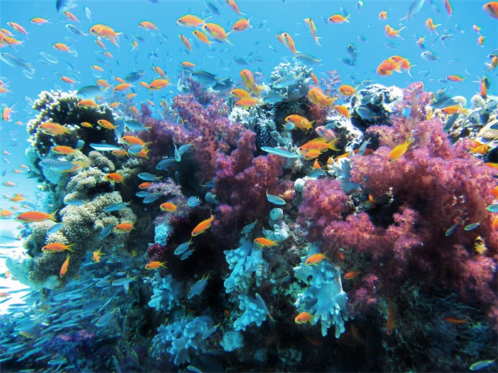 廈門中魚視界海洋王國