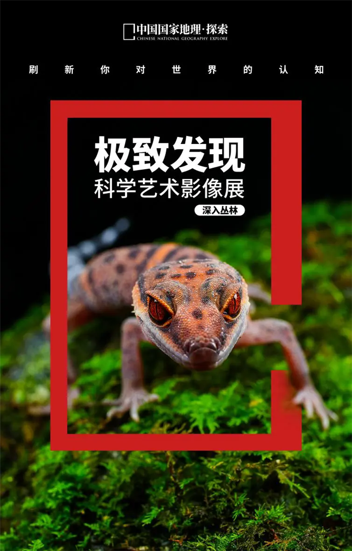 f1cc4728f9155ceb2f155b75077db374.png