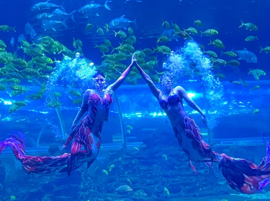 廈門中魚視界海洋王國