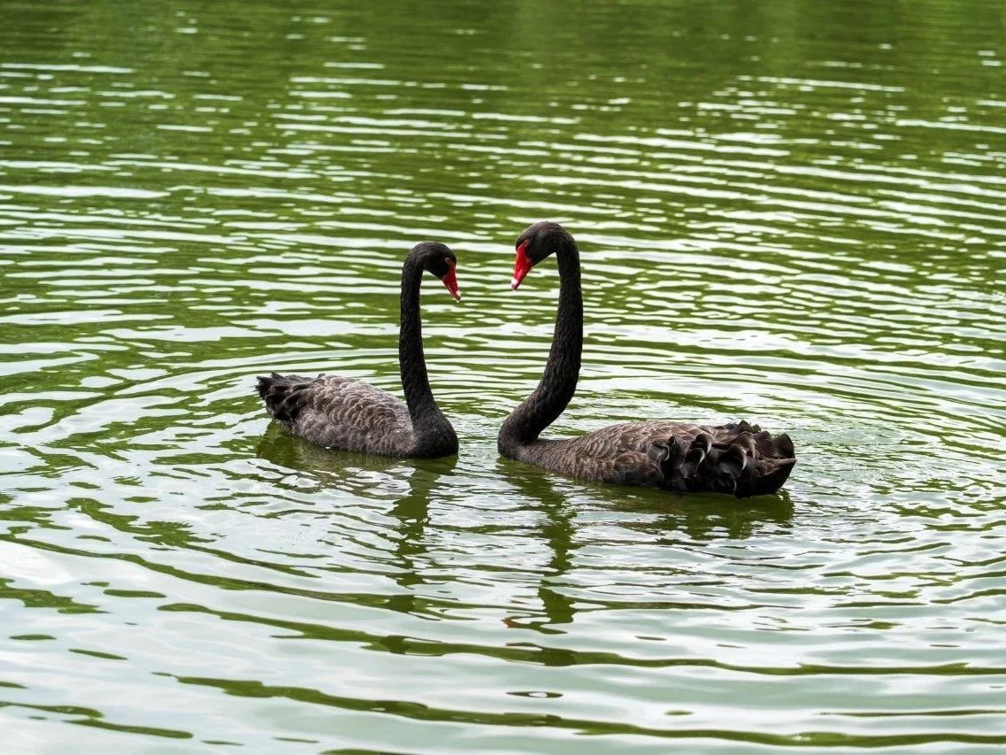 北京野生動物園