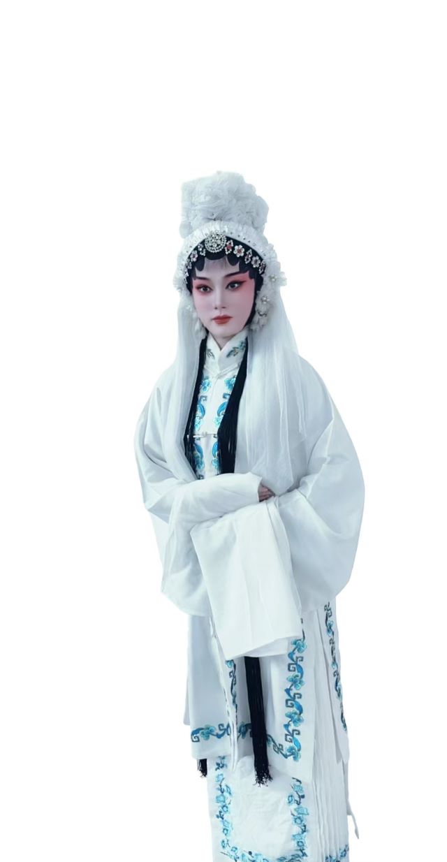豫東韻調(diào)大戲《劉墉下南京》鄭州站4.jpg